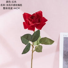 2508efbbf68ee189b5232134d378a166