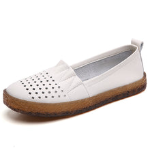 1fd13336b02c51ca0f6d1885023eb303