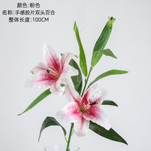 08d1572b565e4c7f778e58381a3e07ad