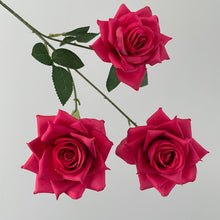 1adb3dffbb81f15c37701ce815a3081b