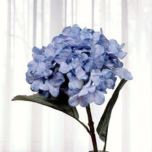 9a623011dff60efe207af50db24fbbe2