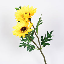 1ad80faf3732e73ef819e849081cd020