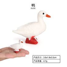 4b78f86685409e3d38231d66f79a6f54