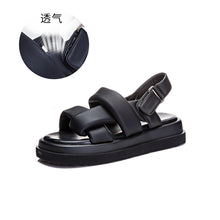 5146cb2c830a763a52a40846a03af09c