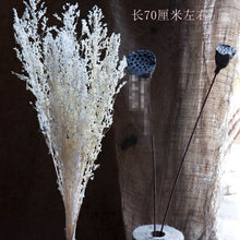e907fb9240a37070b3d3604616ef1edd