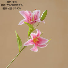 5f7b71c822254c532a1e706d78b2e59b