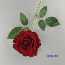 a6e8a859510e10918956bb6a6704406c