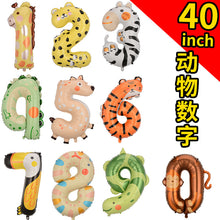 23cc7529f20cd94a51fc320027416226