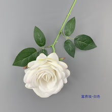 29c97779618fb42e86874572dd396230