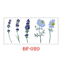 b5d3bc172284e607fa743b9088a7e231