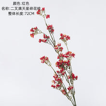 c57664243e3e2f81ff0a7ef279713e84