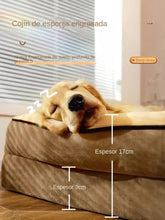 317e92c4ab50544afb98573c8a384987