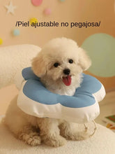 1ce4316824beee9a56333173c48b57f1
