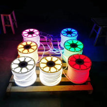 Neón FLEX 220V (Unidad)/LED Signo De Manguera AC 220V Metro Luz De Techo