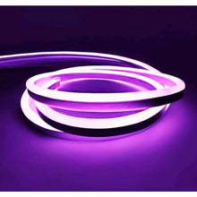 Neón FLEX 220V (Unidad)/LED Signo De Manguera AC 220V Metro Luz De Techo